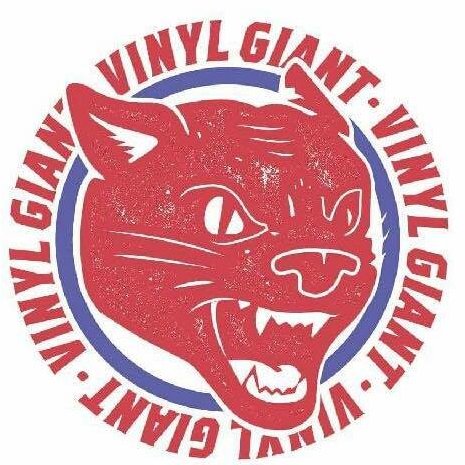 Vinyl Giant Record Store is the newest destination for everything vinyl in the Fargo Moorhead area.