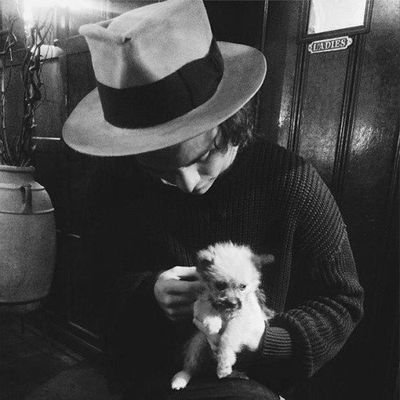 foronedvotes's profile picture. nada de interessante aka