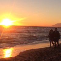 Julian Millo (@julianmillo) 's Twitter Profile