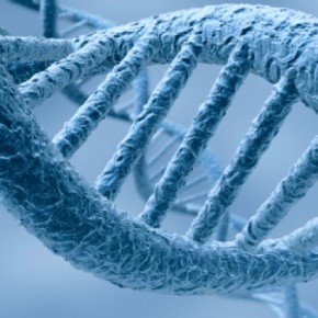 Conoce tu árbol genealógico es una organización dedicada al estudio de la herencia genética con productos inigualables en el mercado.