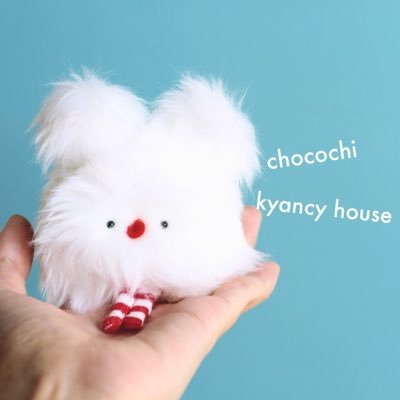 kyancy house キャンシーハウス