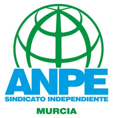 Visit ANPE Murcia Profile