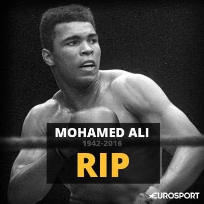 Bechikh7's profile picture. 