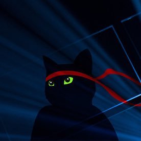 LauDeLombaert's profile picture. Windows Insider | Student @weareimd