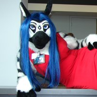 Lauren Rivers, Author Zebra 🦓 (@iridescencesd) 's Twitter Profile