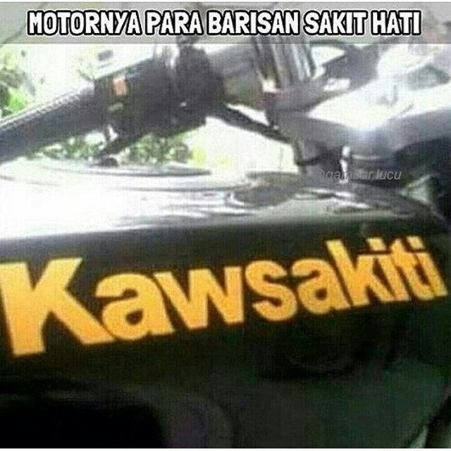 G2_Kratom's profile picture. Borneo kratom world best quality, accept order in large quantities, special rate for you