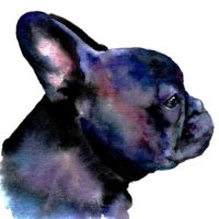 KACU 👁❌🇺🇾 (@srtabulldog_gh) 's Twitter Profile