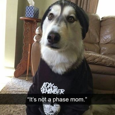 Br1Guy12's profile picture. skill issue detected