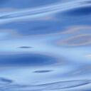 Sónia Maria - @MariaSoniaMaria - Twitter