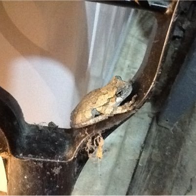 ifarmky's profile picture. 