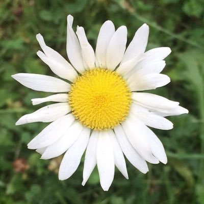 saveourtreees's profile picture. Informing people about our environment.