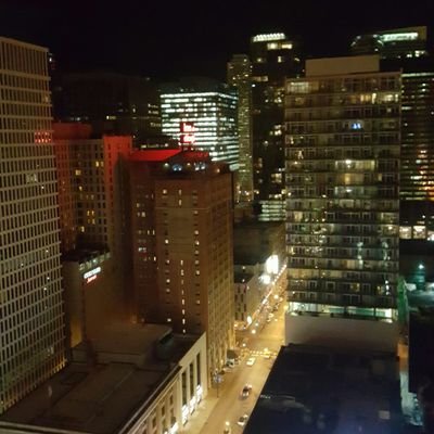 tamiskok's profile picture. 