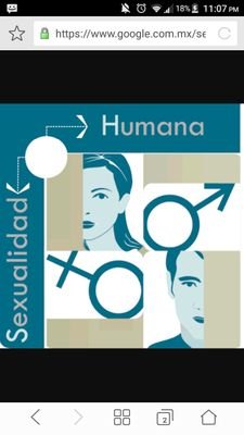 Sexualidad humana 2017