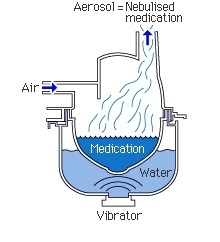 us_n's profile picture. 