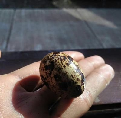 Kang88640582's profile picture. BO