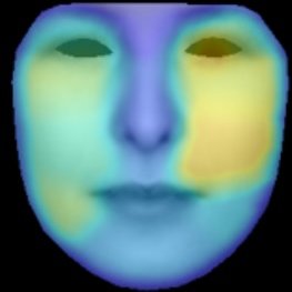Prioritizing Exome Data by Image Analysis. Institute of Medical Genetics and Human Genetics of the Charité, Berlin, and IGSB Bonn.