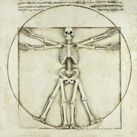 Bone Structure (@bonestructurela) 's Twitter Profile