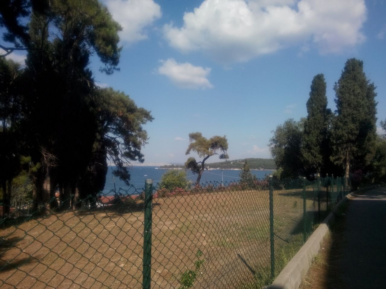 Zekiyeince6's profile picture. 