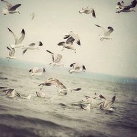 Basoom (@87basoom) Twitter profile photo