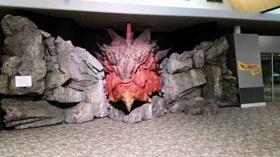 Icegirl1979's profile picture. ❄, 🏎, 🏆, ✈