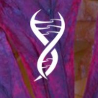 Serendipity Society (@ser_soc) 's Twitter Profile