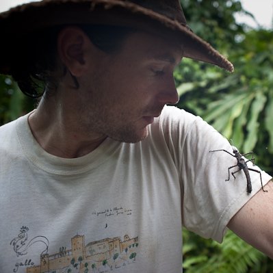 Researcher who studies insect diversity in Southeast Asia and the UK