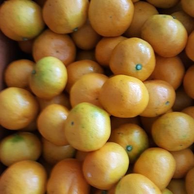 sun62458's profile picture. #맛집 #명언 #건강 #여행 #
@#유머# 건강요리#풍경@#동물#