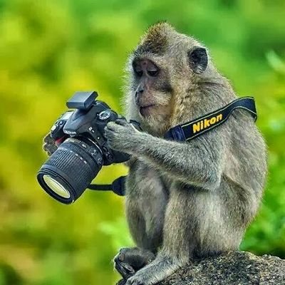 உலகவரலாறு, கலை, பாண்பாடு,
கலாச்சரம்,சாதனைகள்,
மருத்துவம், வினோதம், இயற்க்கை விவசாயம், உலக கண்டுப்பிடிப்புத்தகவல்கள் வரலாற்றுப்புகைப்படத் தொகுப்பு