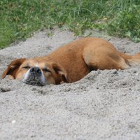 hemabe (@hemabe) 's Twitter Profile
