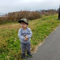 Dan Chen (@danchen13) 's Twitter Profile