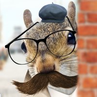 Secret Squirrel 🐿️🇺🇸🕵️(@secretsquirrel) 's Twitter Profile Photo