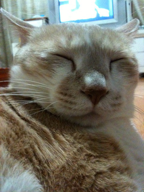 zizidance's profile picture. 금연은 졸려~~ - _-)**