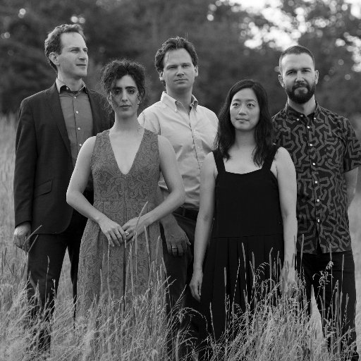 Wide-eyed and fearless group of performers and composers, known to fuse the 'formal elegance of chamber music with a pop-honed concision and rhythmic vitality.'