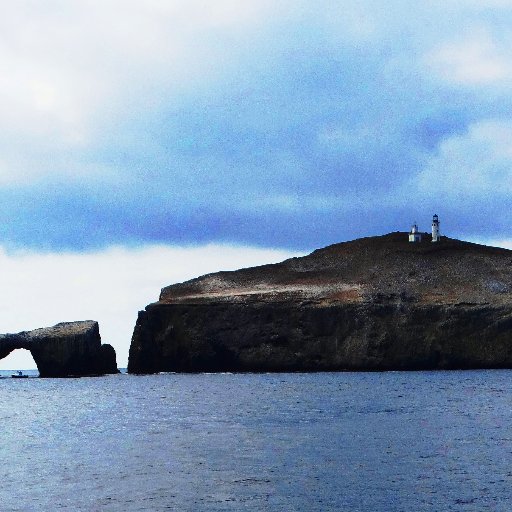 OjaiBees's profile picture. 