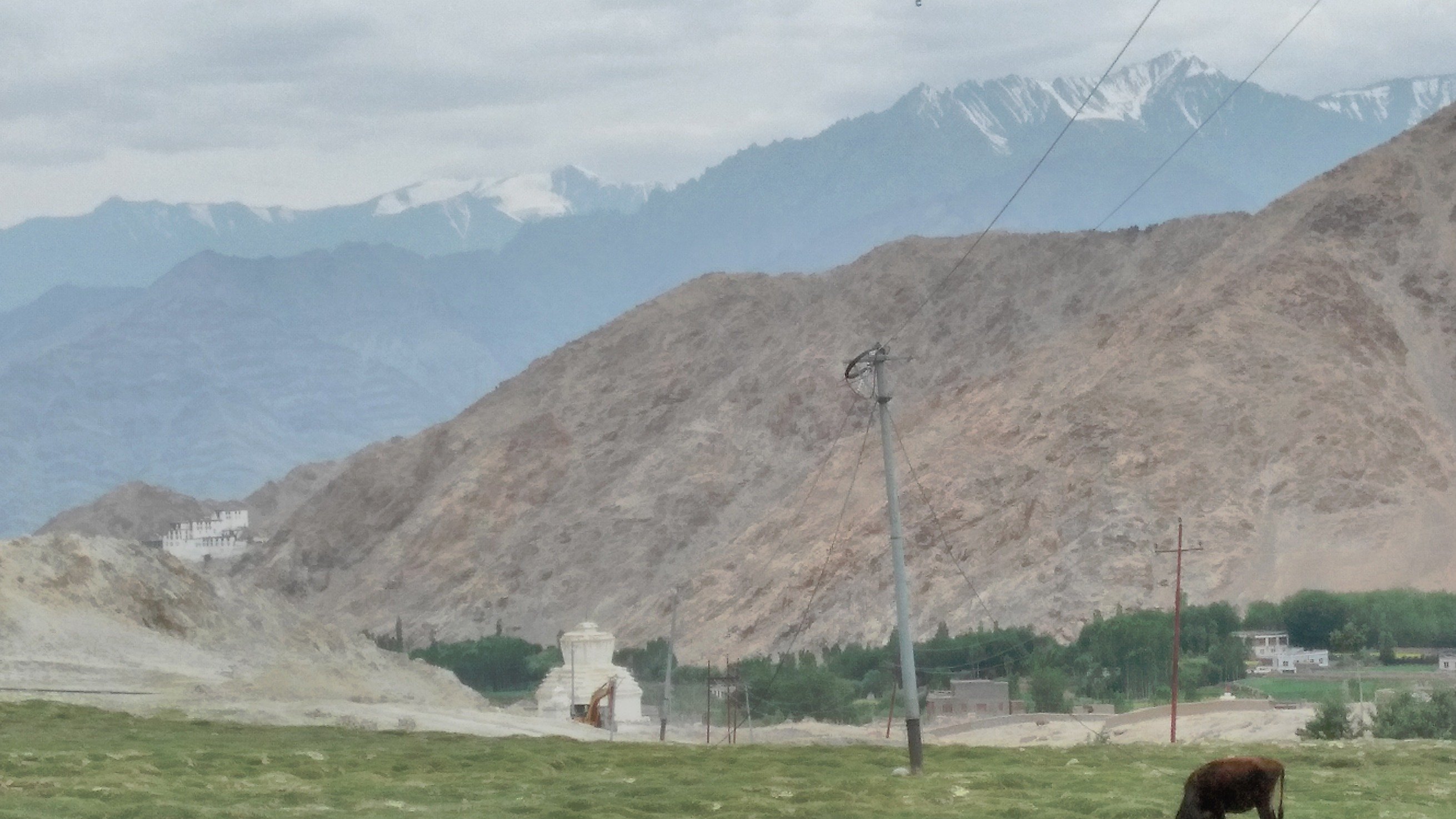 marghade_dhawal's profile picture. 