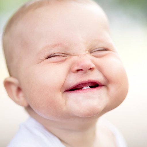 Romanringsf's profile picture. 