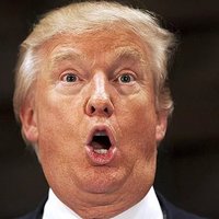 PimpDonaldTrump(@TrumpPimp) 's Twitter Profile Photo