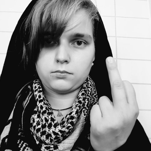 A dev, a cis-woman, a rebel, a feminist, a punk, a behaviorist, a photographer, a scientist, a book lover, a tolerance spreader, a wannabe teacher.