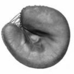 REALNeilMtl's profile picture. Someone hacked my previous account, @neil_mtl, to post offensive tweets. This was a replacement account, but I have an even better one now. DM me for details.