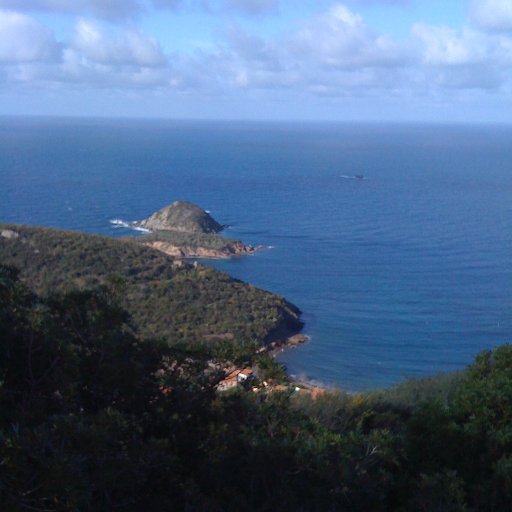 bee_petali's profile picture. Disegno, leggo e scrivo. Non necessariamente in quest'ordine. Mamma di due creature.