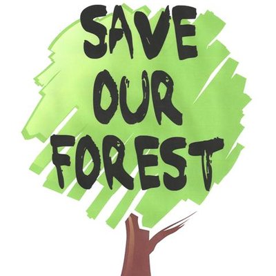 Image result for save forest