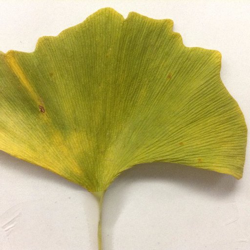 Khmevsd's profile picture. Edgewood Technology