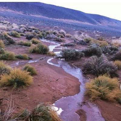 الماء قدامي وانا ضميان معقول أشوف الماي وﻻ اطوله واللي على الماء كلهم عدوان حطوو حرس ﻻ احد يجي حوله.....