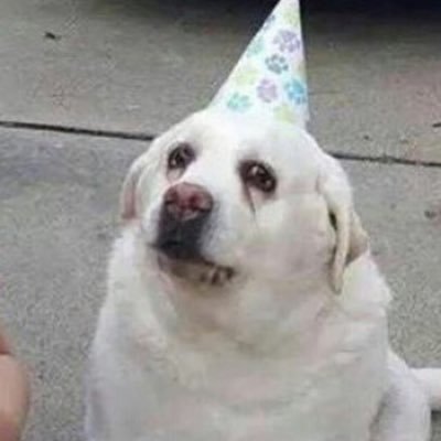 annae1796's profile picture. 