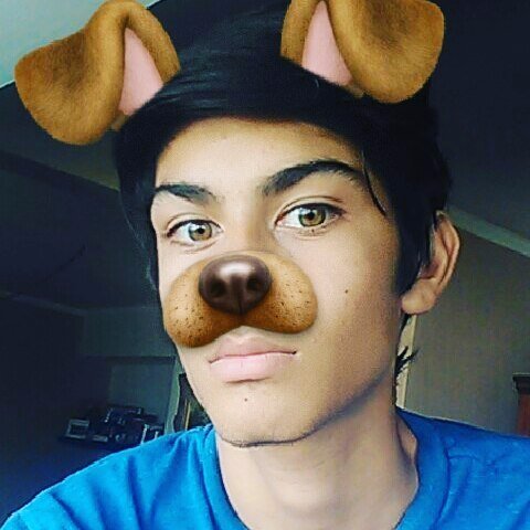 armandini141's profile picture. youtuber de canaima