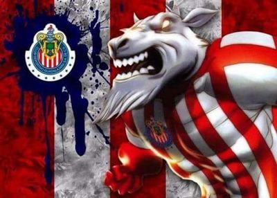 miguelocampo14's profile picture. 