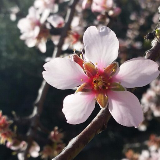 BrendaC45912731's profile picture. I love flowers, nature, cats!