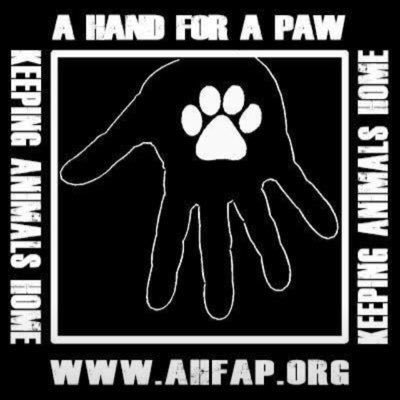 A Hand for a Paw, Inc. is a Bridgeport, CT based, 501(c)(3) non-profit that is passionate about keeping animals home.