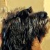 Ebel Munkey (@ebelmunkey) Twitter profile photo Ebel Munkey (@ebelmunkey) Twitter profile photo