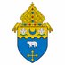 Diocese KCSJ (@diocesekcsj) Twitter profile photo Diocese KCSJ (@diocesekcsj) Twitter profile photo